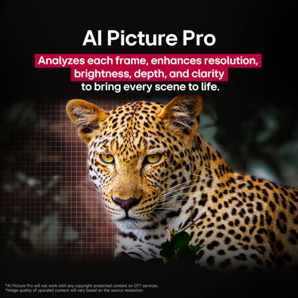 77-LG-OLED-evo-C5-4K-HDR-AI